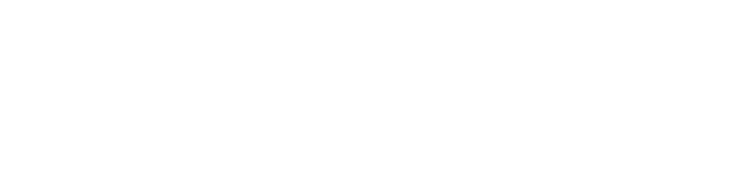 DAYS HOURS MINS SECS
